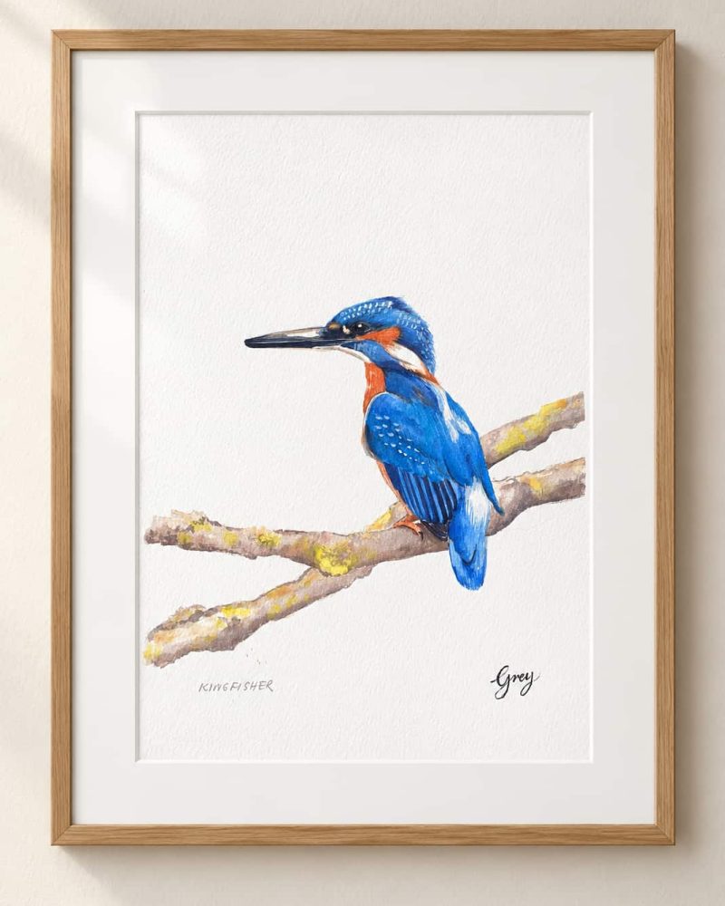 A framed watercolour of a blue kingfisher perched on a branch.