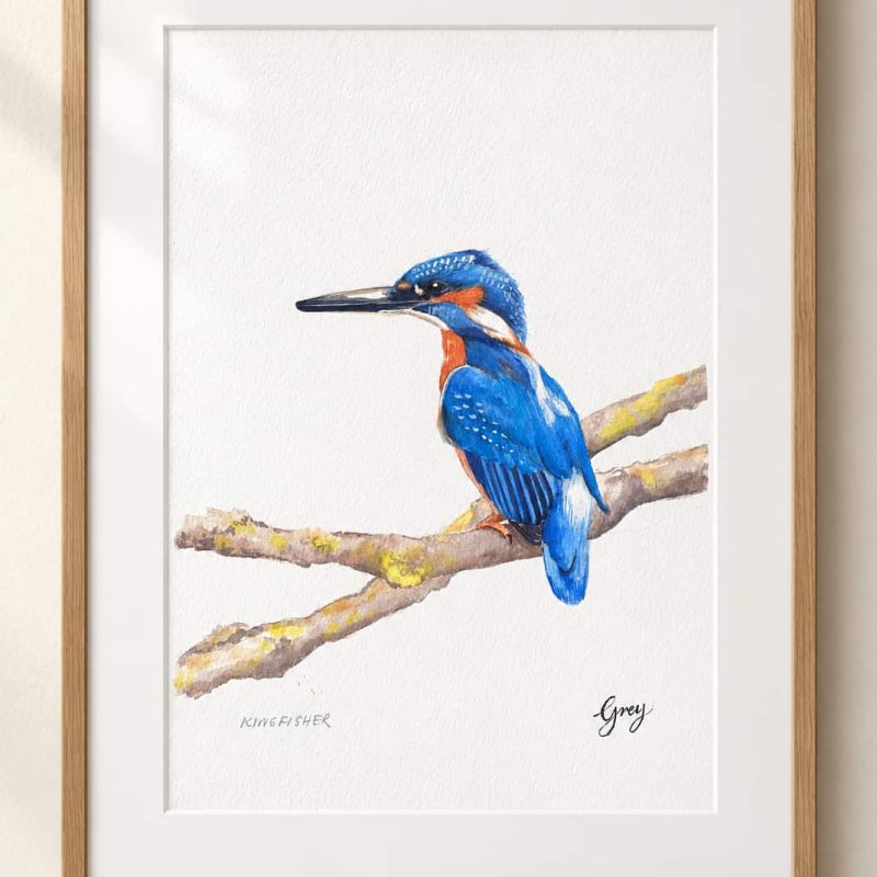 A framed watercolour of a blue kingfisher perched on a branch.