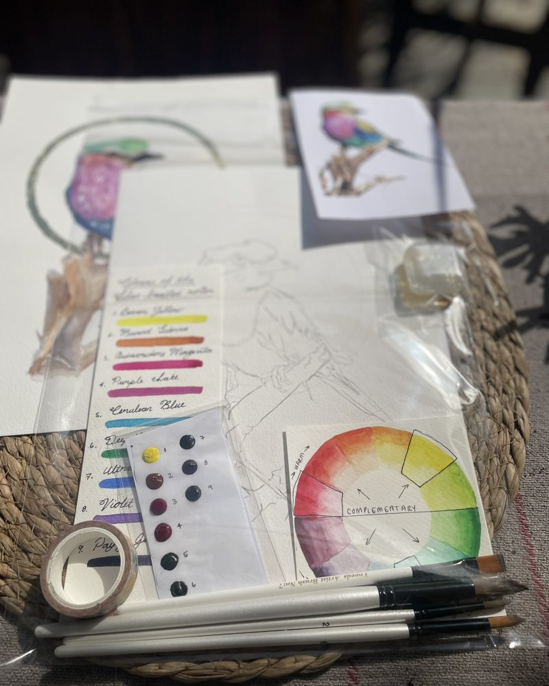 A guided watercolour kit with a pre-drawn lilac-breasted roller, colour swatches, a colour wheel and brushes.